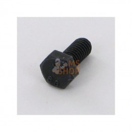71255OW; OUTILS WOLF; Vis Th M6X14 Din933; pièce detachée