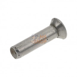 IG011004; TIELBÜRGER; Rivet à tête fraisée 5 x 20 mm; pièce detachée