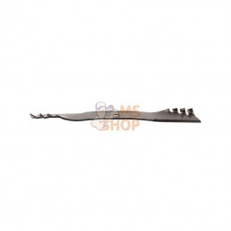2986B1PD1095; UNBRANDED; Lame Predator 4-in-1 MTD; pièce detachée