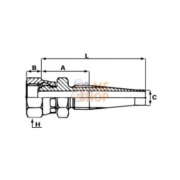 NH108; UNBRANDED; Raccord à visser DN10 - 1/2BSP; pièce detachée