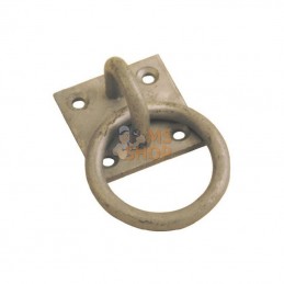 HS032308; UNBRANDED; Oeillet d'attache + bague; pièce detachée