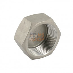 FG300112RVS; UNBRANDED; Chape hex. inox F 1 1/2"; pièce detachée
