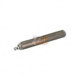 HS762810GN; UNBRANDED; Gonds à souder+graisseur 100mm; pièce detachée