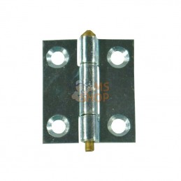 HS350003; UNBRANDED; Charnière étroite 30x30mm; pièce detachée