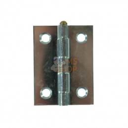 HS350055; UNBRANDED; Charnière carrée 50 x 50 inoxydable; pièce detachée