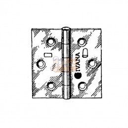 HS350055; UNBRANDED; Charnière carrée 50 x 50 inoxydable; pièce detachée