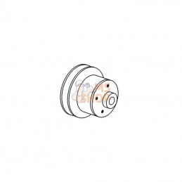 AV105252; VAPORMATIC; Poulie de pompe à eau; pièce detachée