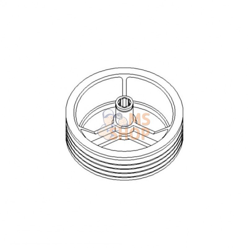 AV100262; VAPORMATIC; Poulie d’élévateur; pièce detachée
