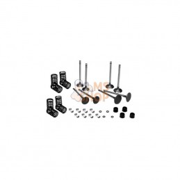 VPA6025; VAPORMATIC; Kit de soupape; pièce detachée