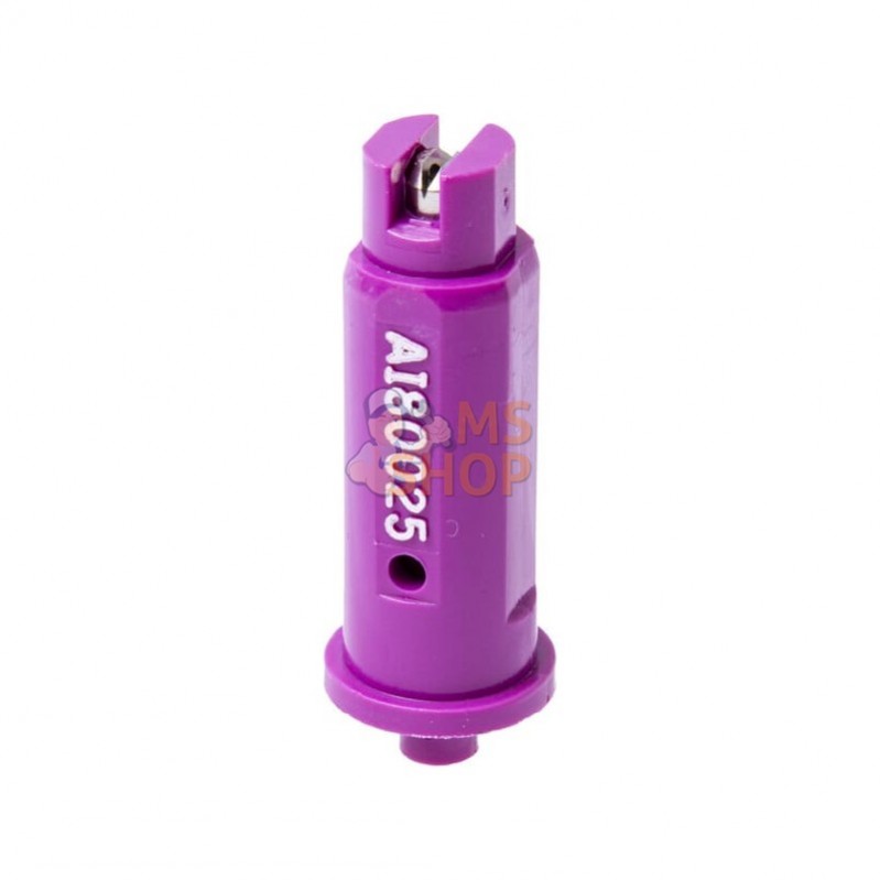 AI80025VS; TEEJET; Buse d'injection d'air AI 80° 025 acier inoxydable violet; pièce detachée AI80025VS; TEEJET; Buse d'injection d'air AI 80° 025 acier inoxydable violet; pièce detachée