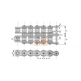 RS802; TSUBAKI; Chaîne à rouleaux ASA80 double; pièce detachée