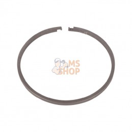 0634402541; ZF; Segment ring; pièce detachée