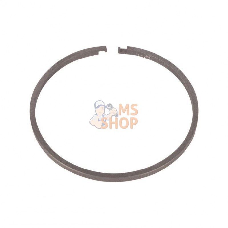 0634402541; ZF; Segment ring; pièce detachée