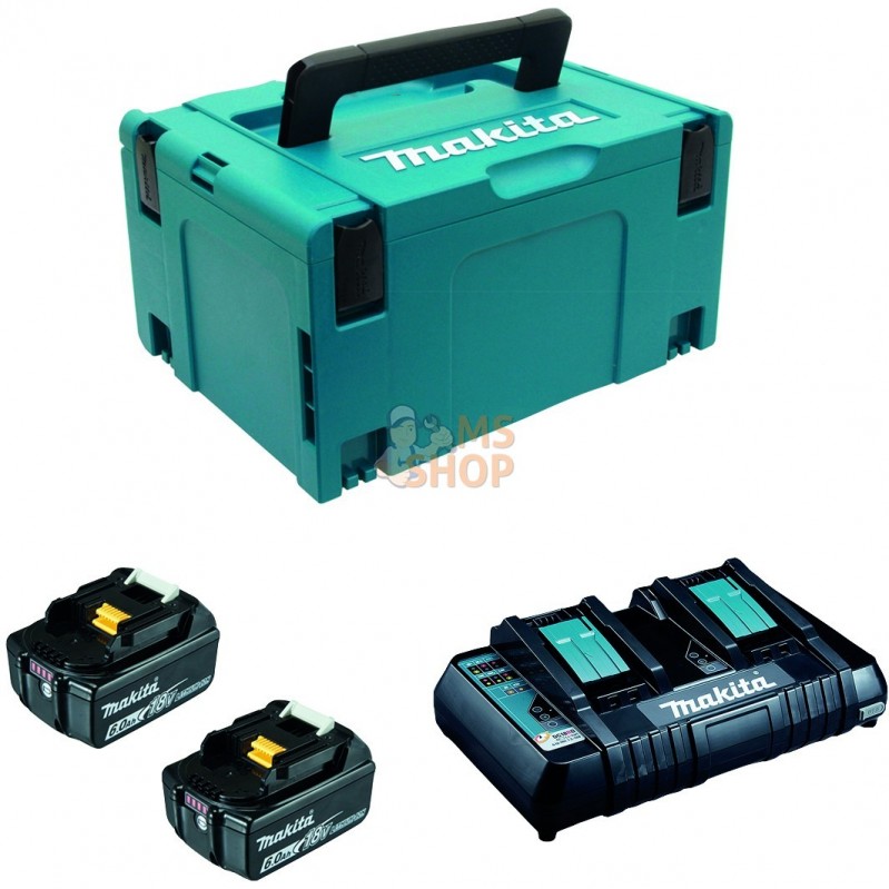 197504-2 - Pack Énergie 18 V Li-Ion (2 batteries + 1 chargeur double) avec  coffret MAKPAC