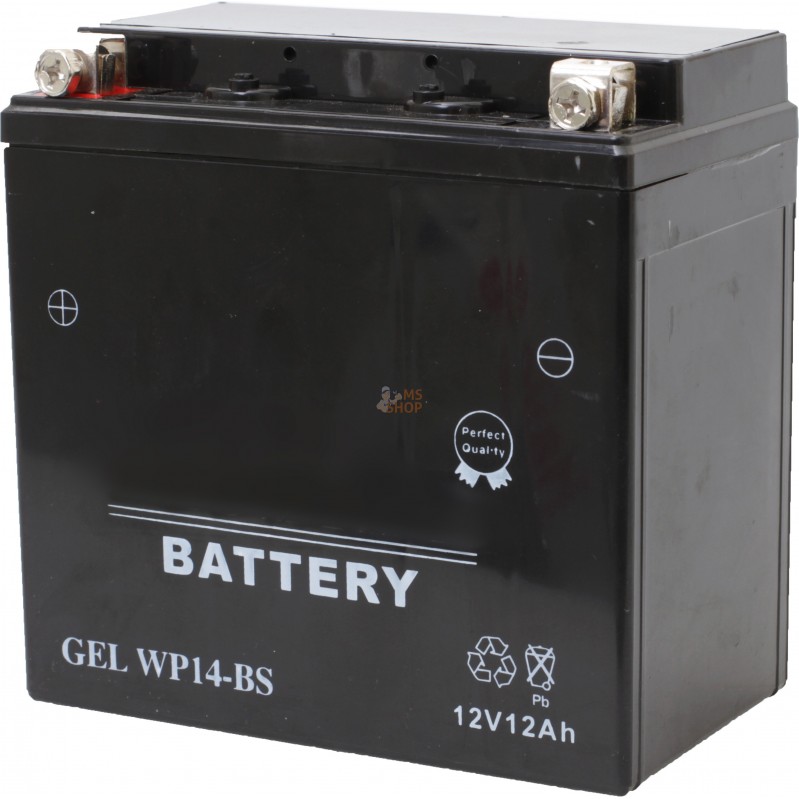 WP14BS,BATTERIE GEL 12V WP 12A | MAKITA