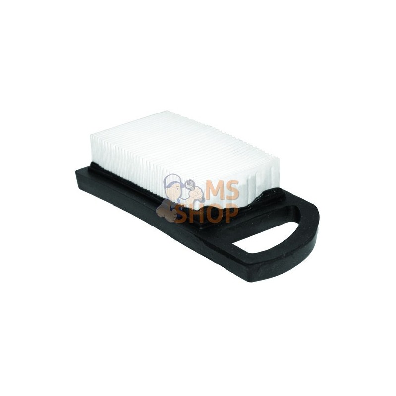Filtre à air - Briggs & Stratton Filtre à air - Briggs & StrattonPR#12191 Filtre à air - Briggs & Stratton Filtre à air - Briggs & StrattonPR#12191