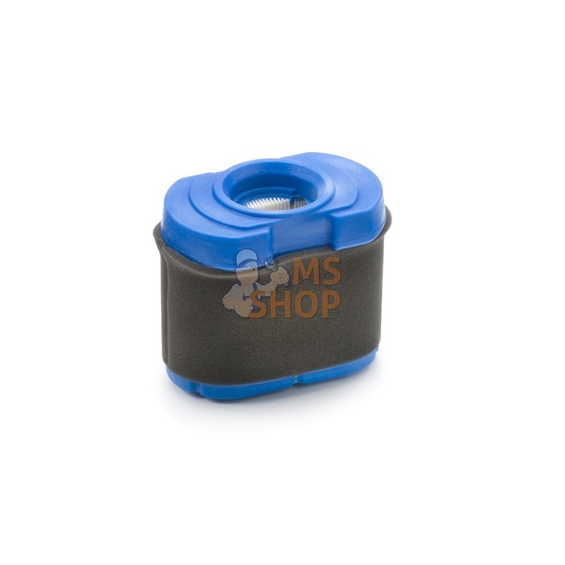 Filtre à air - Briggs & Stratton Filtre à air - Briggs & StrattonPR#12218 Filtre à air - Briggs & Stratton Filtre à air - Briggs & StrattonPR#12218