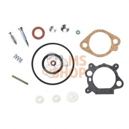 Trousse de carburateur - Briggs & Stratton Trousse de carburateur - Briggs & StrattonPR#12655