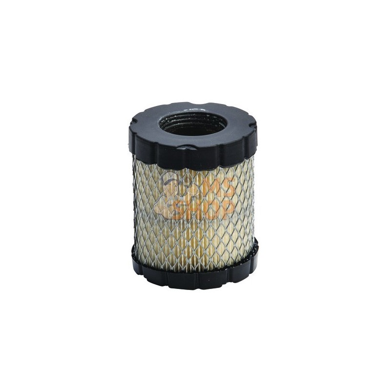 Filtre à air - Briggs & Stratton Filtre à air - Briggs & StrattonPR#12236 Filtre à air - Briggs & Stratton Filtre à air - Briggs & StrattonPR#12236