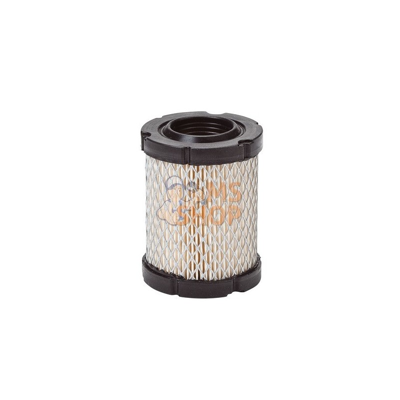 Filtre à air - Briggs & Stratton Filtre à air - Briggs & StrattonPR#12306 Filtre à air - Briggs & Stratton Filtre à air - Briggs & StrattonPR#12306