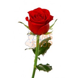 P64-20-BULK12;BAHCO;Cueille-fleurs;pièce détachée