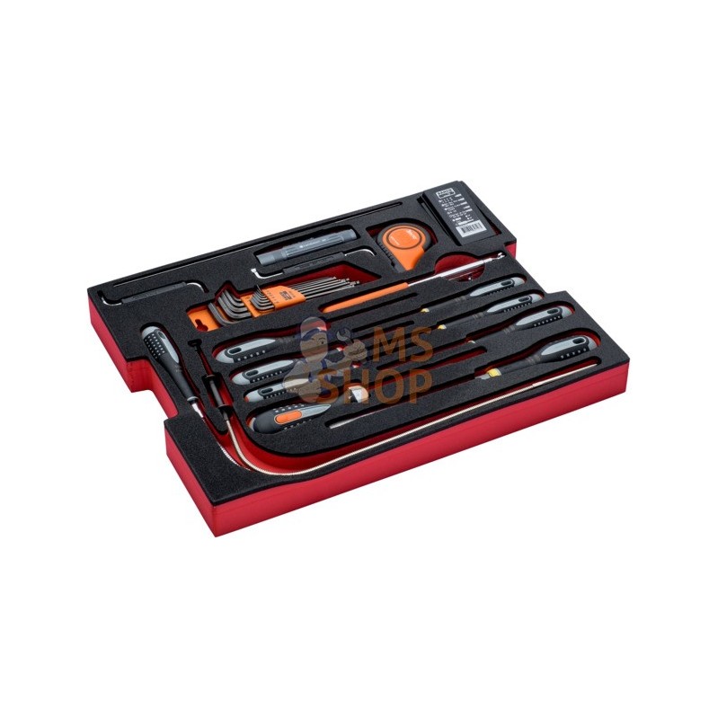 FF2A09;BAHCO;Module FF2A09 pour caisse 4750RCHD01, 56 pcs;pièce détachée