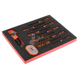 FF1F1008;BAHCO;FF1F1008-49 pcs;pièce détachée