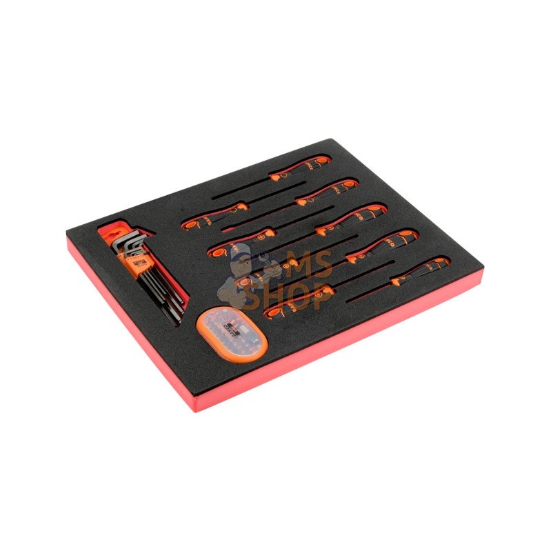 FF1F1008;BAHCO;FF1F1008-49 pcs;pièce détachée FF1F1008;BAHCO;FF1F1008-49 pcs;pièce détachée