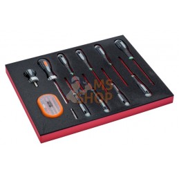 FF1F1005;BAHCO;FF1F1005-42 pcs;pièce détachée
