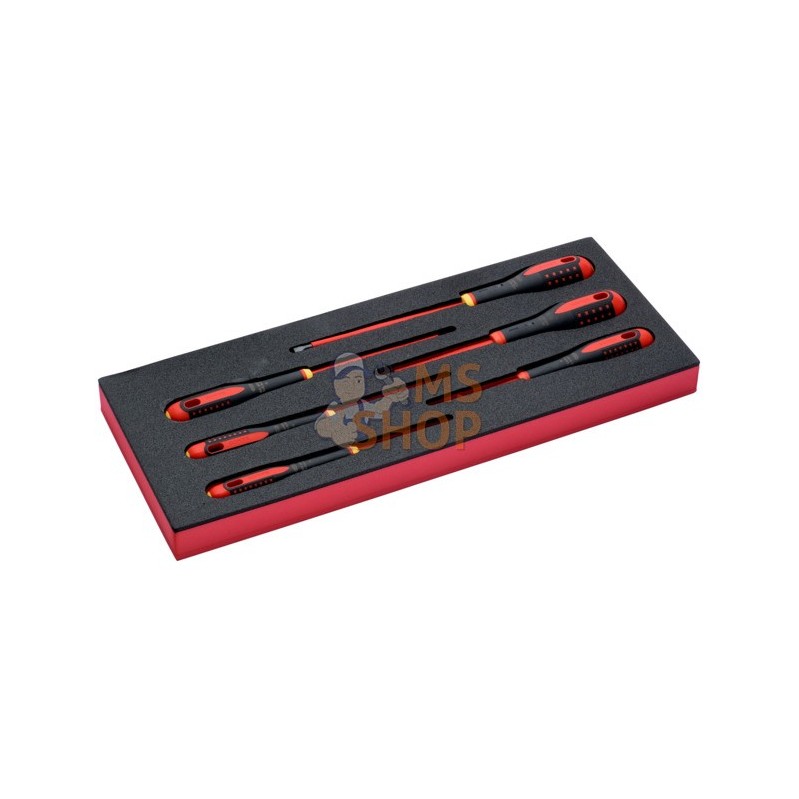 FF1E1010;BAHCO;FF1E1010-6 pcs;pièce détachée FF1E1010;BAHCO;FF1E1010-6 pcs;pièce détachée