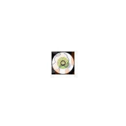 BE-8910I;BAHCO;Tournevis Ergo™ acier inoxydable;pièce détachée