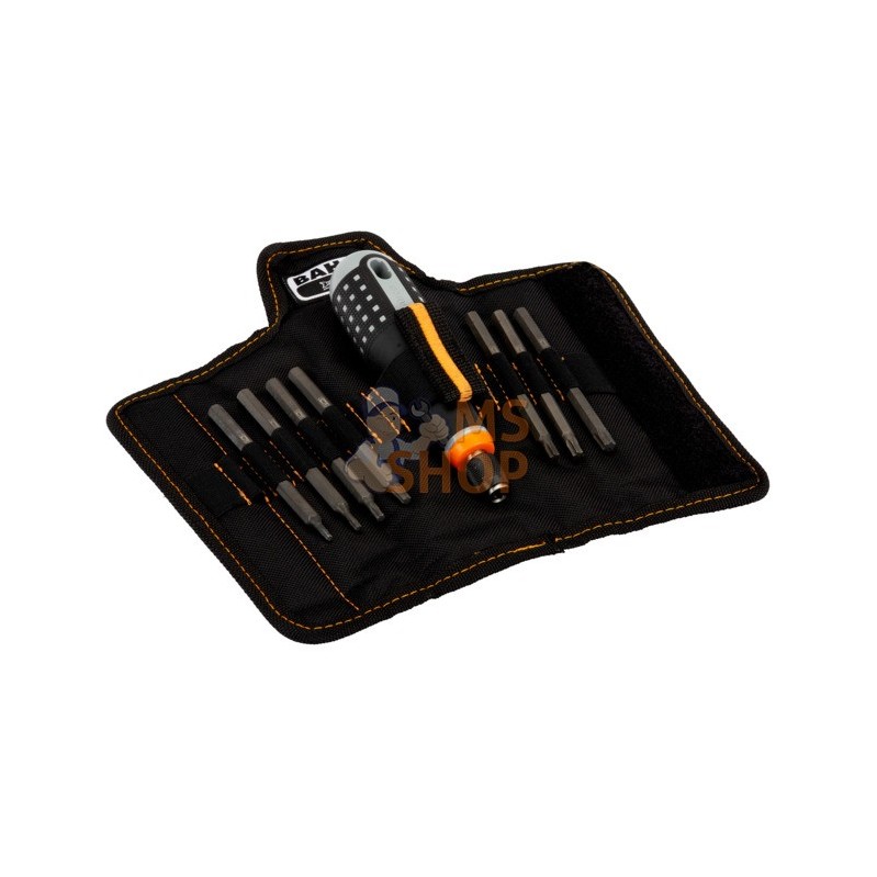 BE-8573;BAHCO;Jeu comprenant 1 manche Ergo™ + 7 lames interchangeables;pièce détachée BE-8573;BAHCO;Jeu comprenant 1 manche Ergo™ + 7 lames interchangeables;pièce détachée