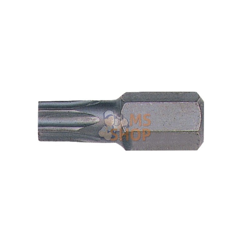 BE5049T60;BAHCO;Embout pour vis TORX®, 10mm;pièce détachée BE5049T60;BAHCO;Embout pour vis TORX®, 10mm;pièce détachée