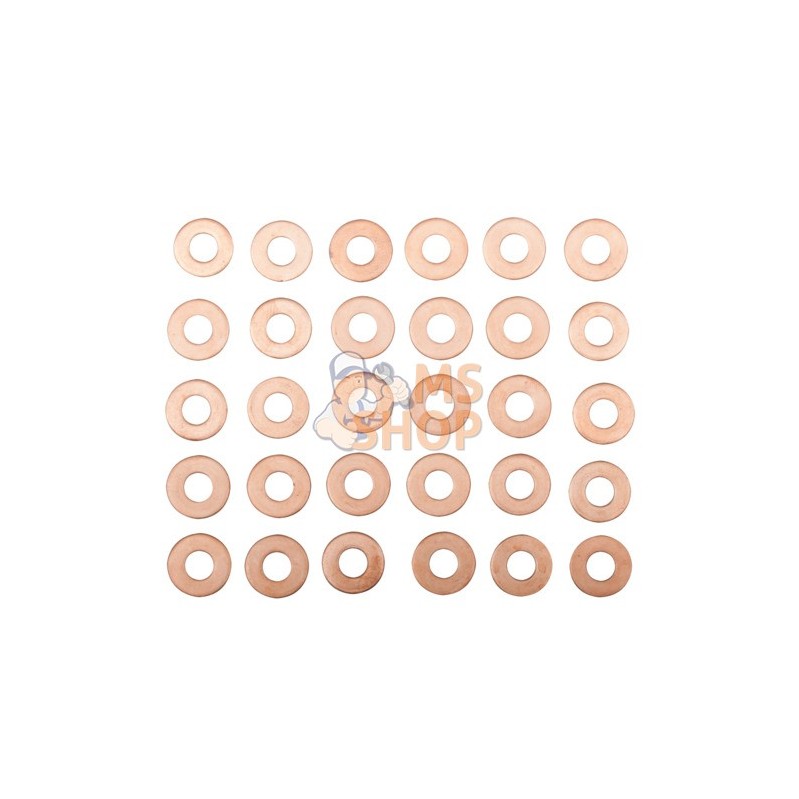 BE1305P450WS15;BAHCO;Jeu de 30 rondelles cuivre pour injecteurs;pièce détachée BE1305P450WS15;BAHCO;Jeu de 30 rondelles cuivre pour injecteurs;pièce détachée