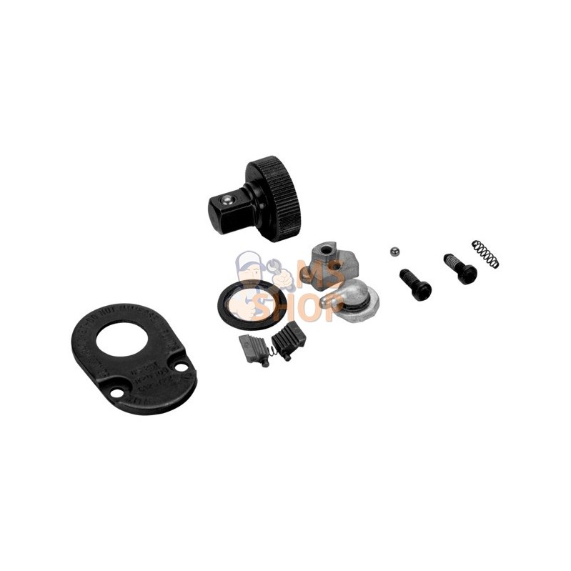 6950-SPARE;BAHCO;Jeu de pièces détachées pour cliquet 1/4" référence 6950;pièce détachée 6950-SPARE;BAHCO;Jeu de pièces détachées pour cliquet 1/4" référence 6950;pièce détachée