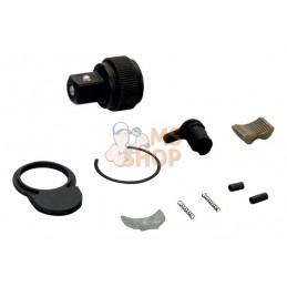 6950SL-SPARE;BAHCO;Jeu de pièces détachées pour cliquet 1/4" 6950SL;pièce détachée