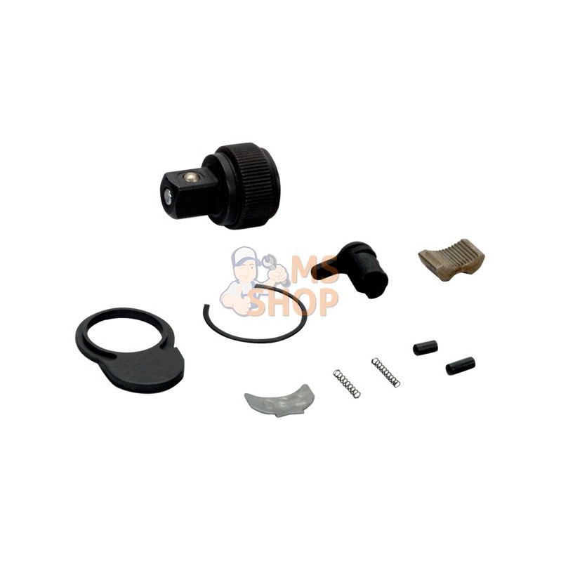 6950SL-SPARE;BAHCO;Jeu de pièces détachées pour cliquet 1/4" 6950SL;pièce détachée 6950SL-SPARE;BAHCO;Jeu de pièces détachées pour cliquet 1/4" 6950SL;pièce détachée