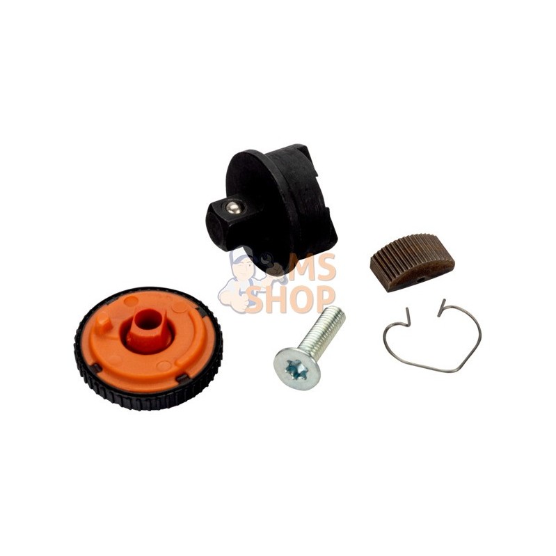 6950RN-SPARE;BAHCO;Jeu de pièces détachées pour cliquet 1/4" 6950RN;pièce détachée 6950RN-SPARE;BAHCO;Jeu de pièces détachées pour cliquet 1/4" 6950RN;pièce détachée