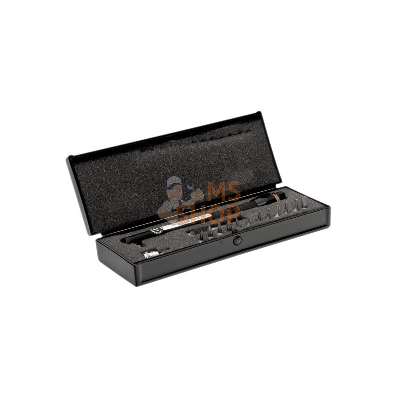 6852-5/S17;BAHCO;Coffret de mini clé dynamométrique réglable avec carré conducteur 1/4'' et embouts;pièce détachée