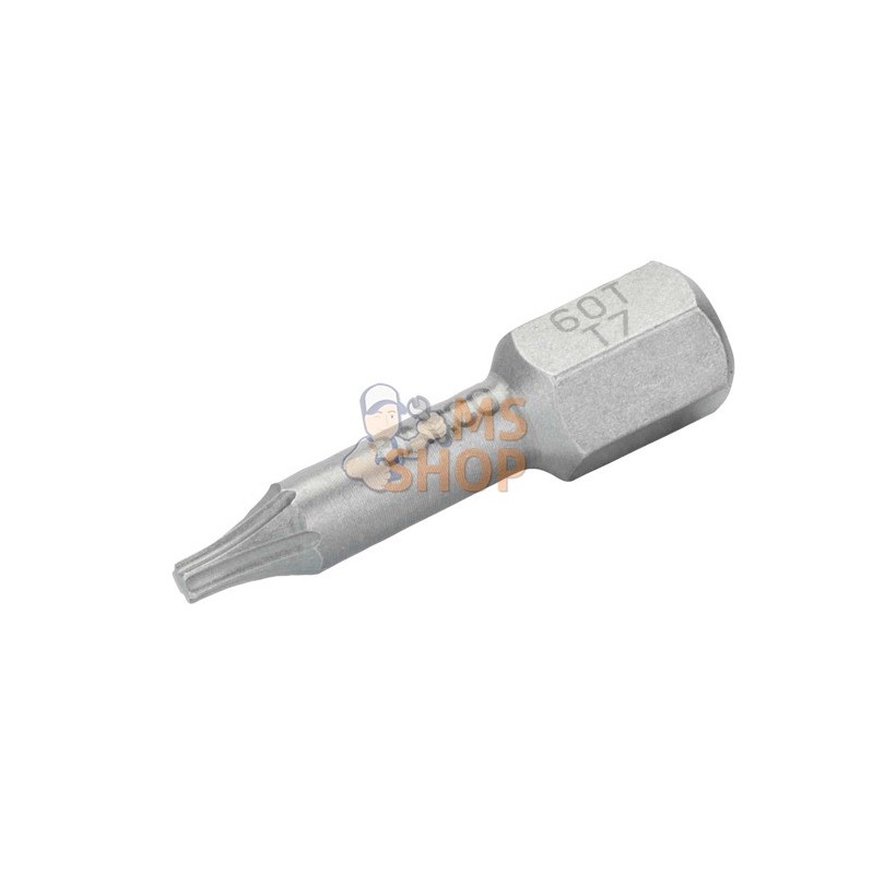 60T/T9;BAHCO;Embouts à torsion Torx® - 25 mm;pièce détachée 60T/T9;BAHCO;Embouts à torsion Torx® - 25 mm;pièce détachée