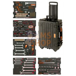 4750RCHDW02FF2;BAHCO;Caisse ultra robuste 4750RCHDW02 complète, 167 outils pour l'industrie éolienne;pièce détachée