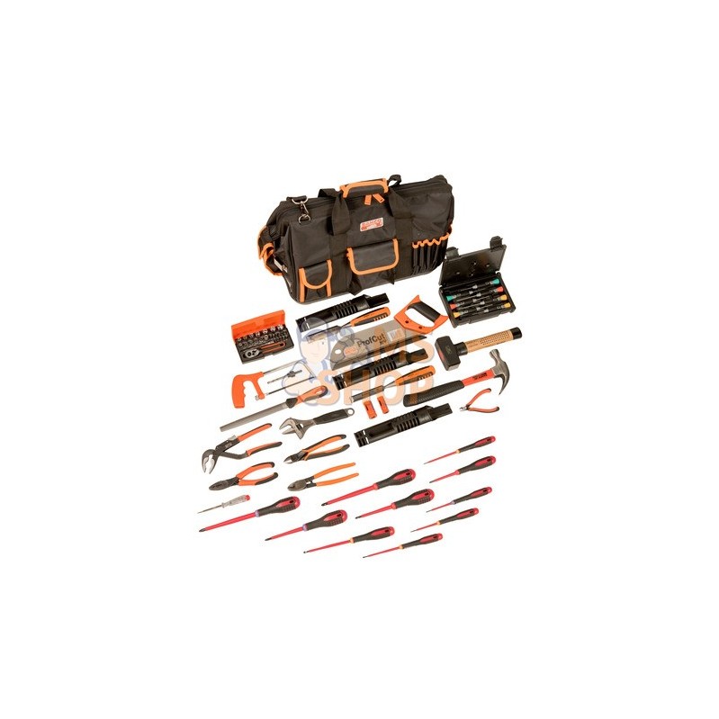 4750FB2-19TS001;BAHCO;Sac 4750FB2-19A avec 61 outils pour la maintenance;pièce détachée 4750FB2-19TS001;BAHCO;Sac 4750FB2-19A avec 61 outils pour la maintenance;pièce détachée