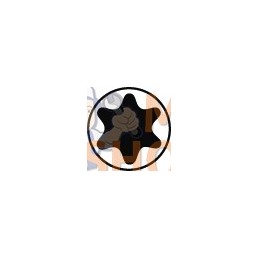 46-T20-150;IRIMO;Tournevis avec manche en T, TORX®;pièce détachée