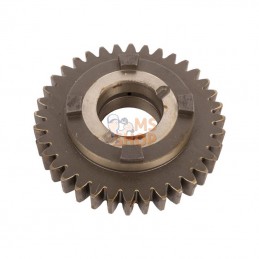 CI139801; CARRARO; Gear; pièce detachée