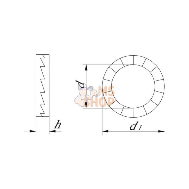 NL30RVSA4; NORD - LOCK; Rondelle de blocage M30x47x6,8mm, Acier inoxydable A4 DIN 128a; pièce detachée