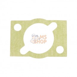 9966595; CNH; Gasket; pièce detachée