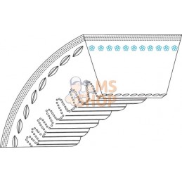 Courroie AL-KO | AL-KO Courroie AL-KO | AL-KOPR#30214