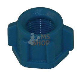 Ecrou de protection bleu 3/8" | ARAG Ecrou de protection bleu 3/8" | ARAGPR#609883