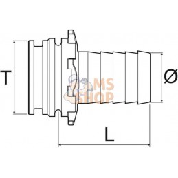 Raccord de flexible T5M 32mm | ARAG Raccord de flexible T5M 32mm | ARAGPR#609391