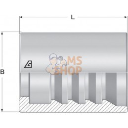 Jupe à sertir Ø27x33,5mm DN13 acier / zingué Alfagomma | ALFAGOMMA Jupe à sertir Ø27x33,5mm DN13 acier / zingué Alfagomma | ALFA